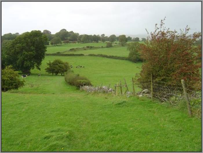 image014