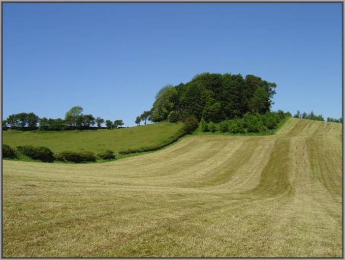 image018