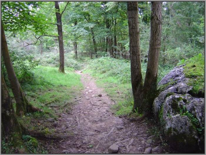 image014