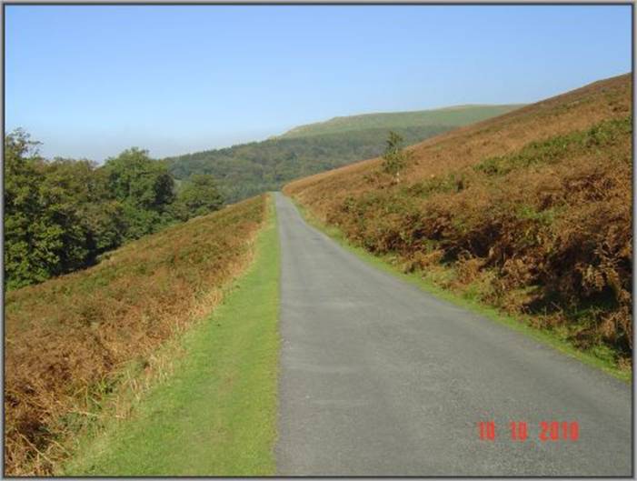 image100