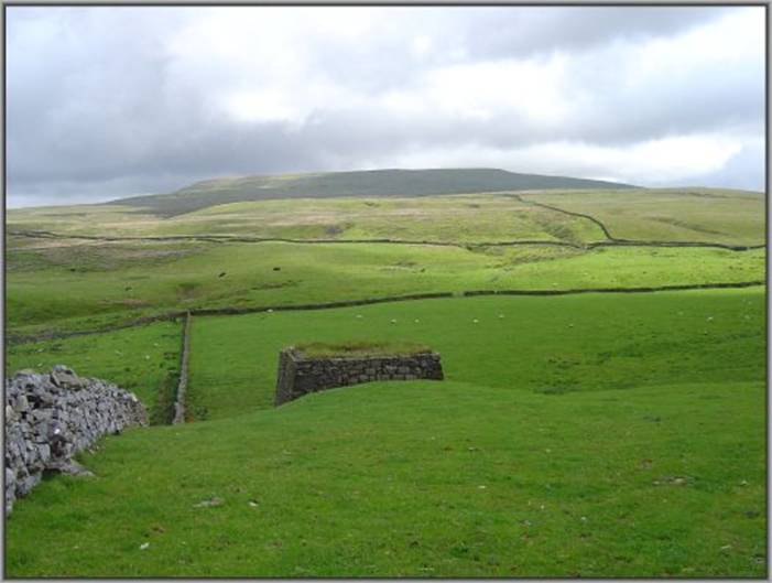 image124
