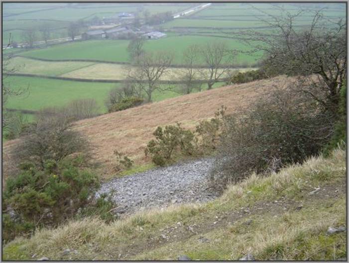 image204