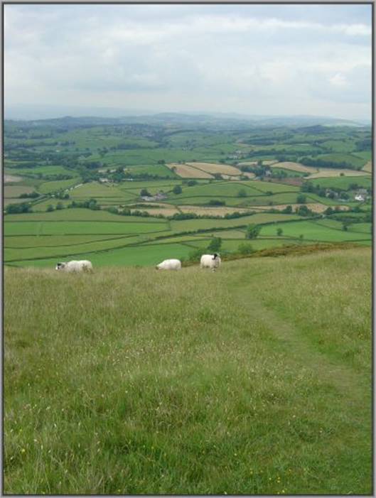 image110