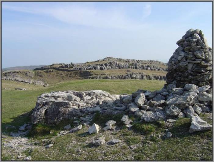 image206