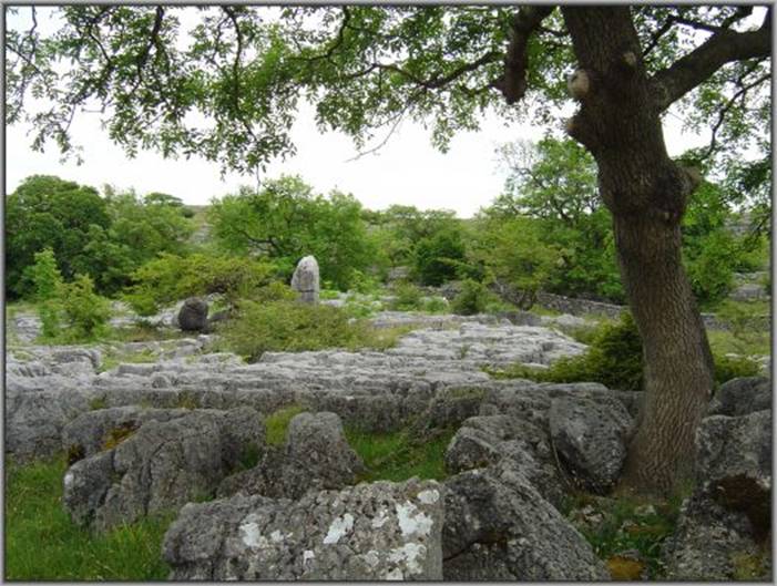 image114