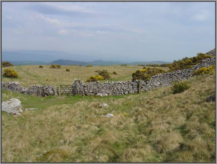 image121