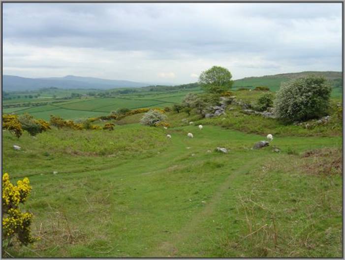 image125